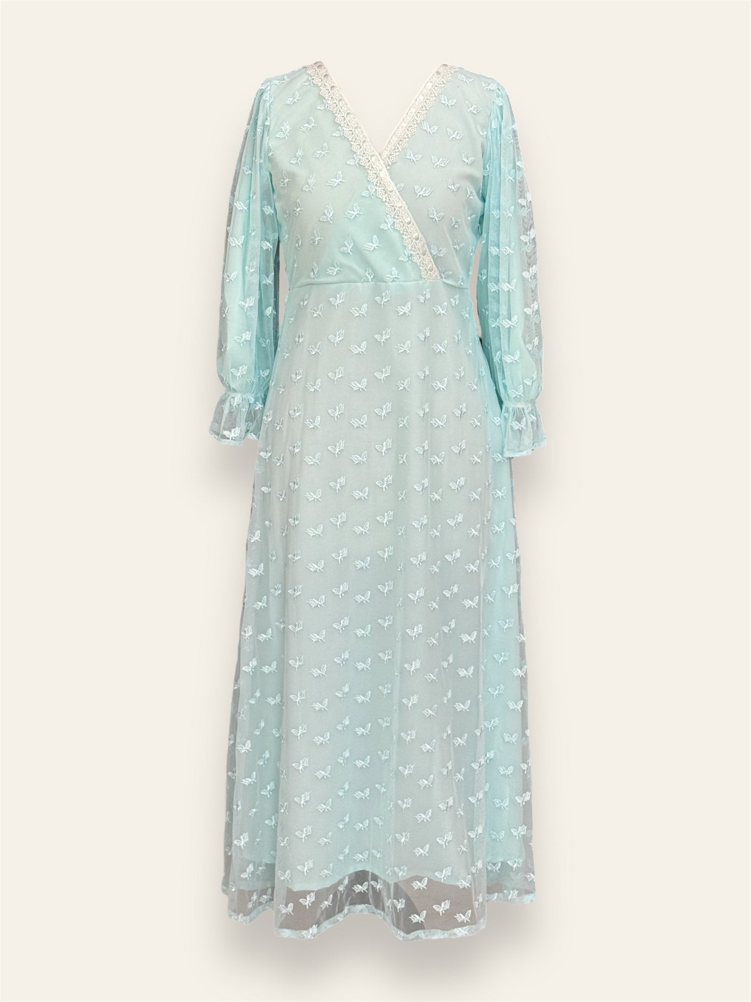 Sky Embroidered Net Long Dress