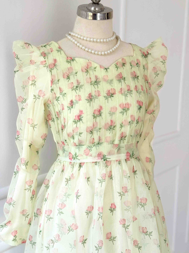 Rose Organza Pleated Body Long Dress