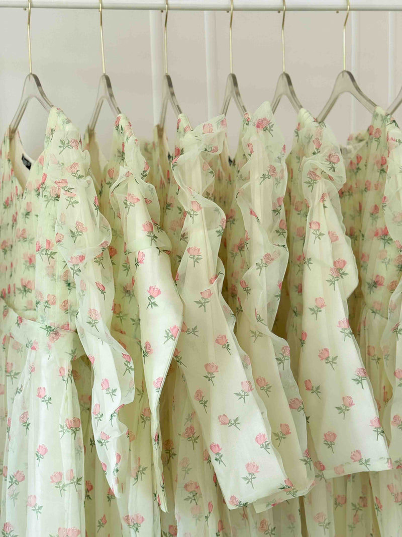 Rose Organza Pleated Body Long Dress