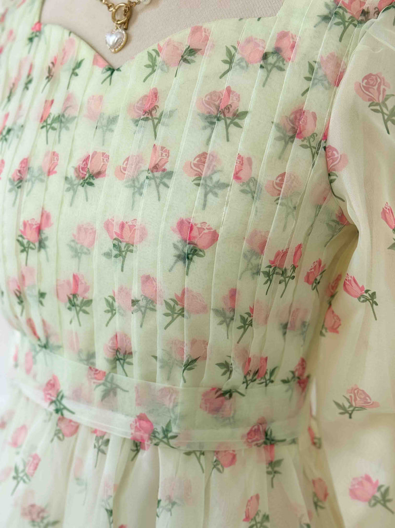 Rose Organza Pleated Body Long Dress