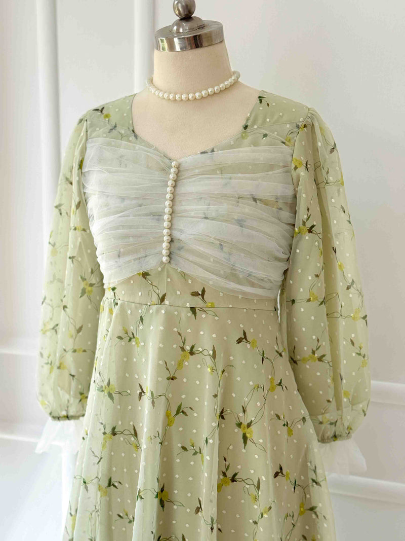 Pistachio Pearl Embellished Long Dress