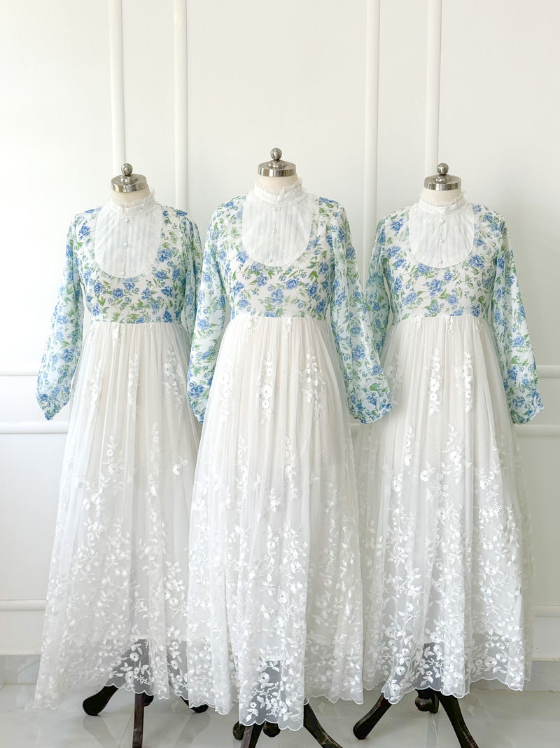 Marina Embroidered Net Long Dress