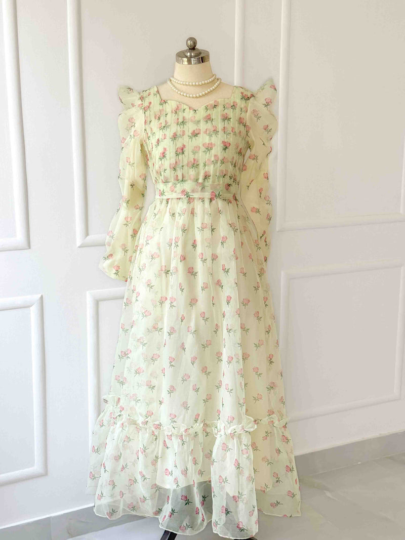 Rose Organza Pleated Body Long Dress