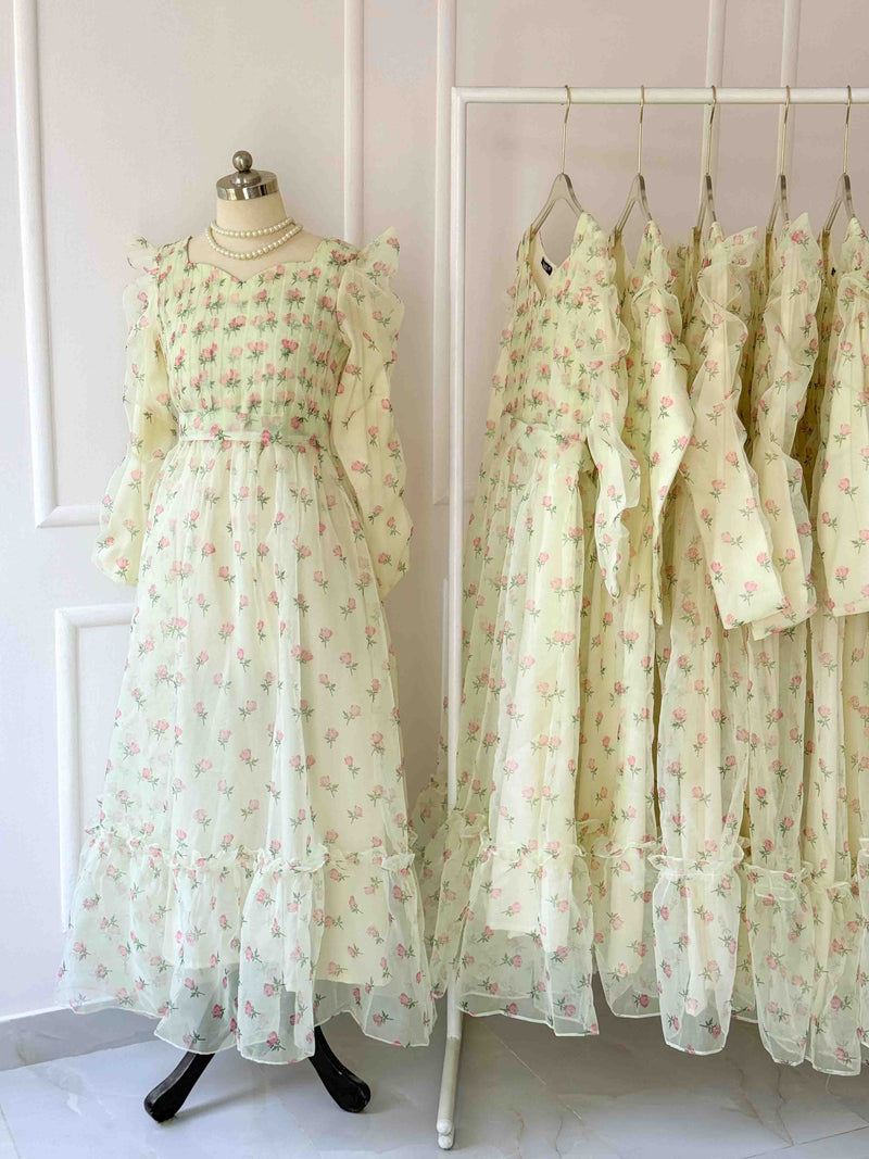 Rose Organza Pleated Body Long Dress