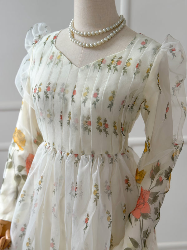 Serene Organza Dress